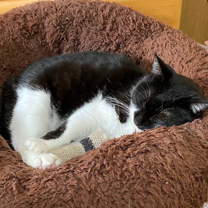 3706ffd9 7bac 4e0b 9514 cfa03f3307b1 1701173885133