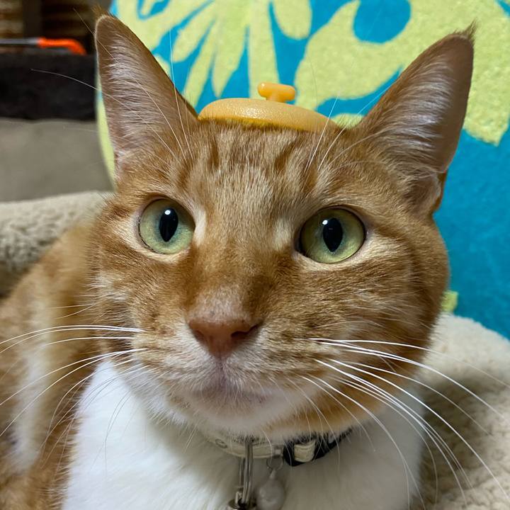 37077276 dada 407b 87f2 b869079b361c 1683338774282