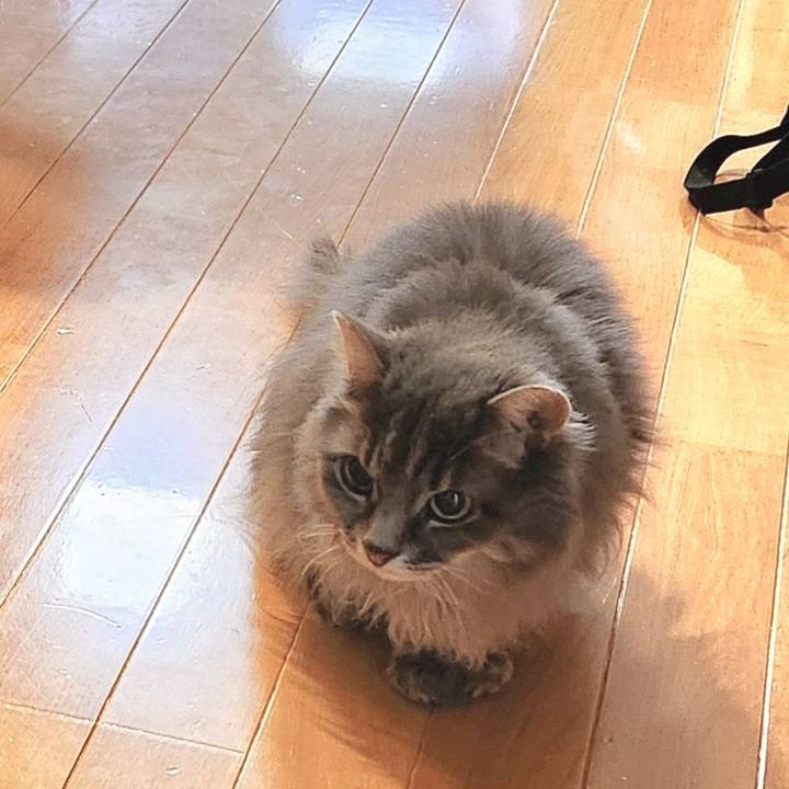 3707ce61 4a19 4be7 ad4f 1ba5603b5e98 1730152884770