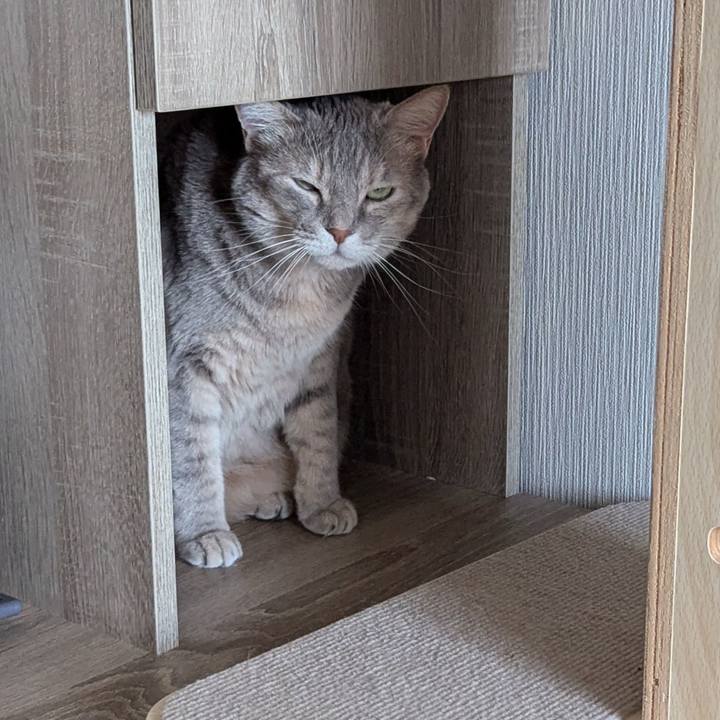 37080969 95fe 4be4 8634 9a756a0e7df9 1726210674930