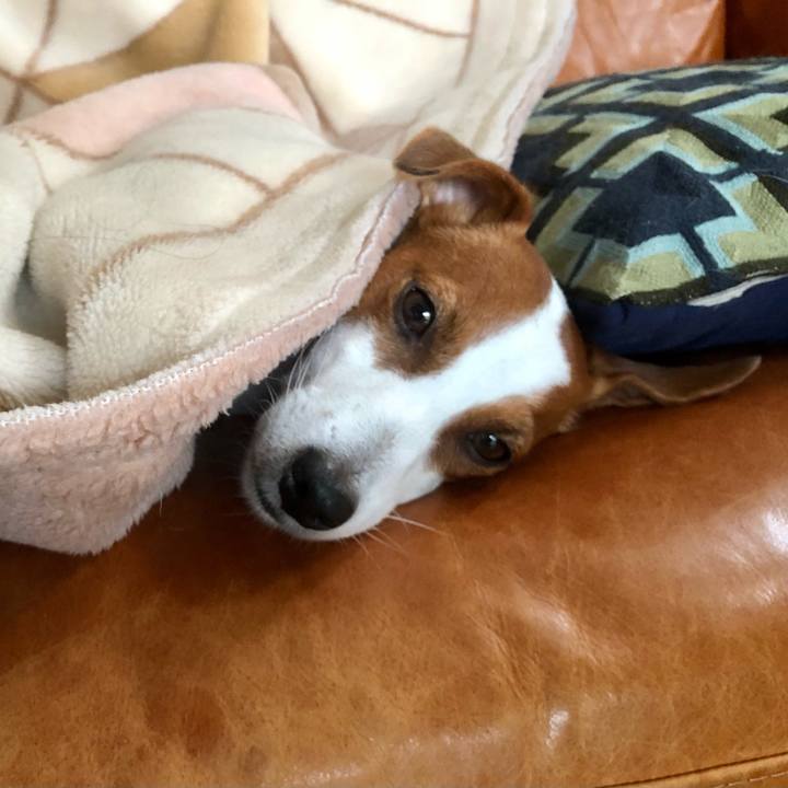 37083320 3497 4c57 87ee 8b7d3b29b0b7 1604570653200