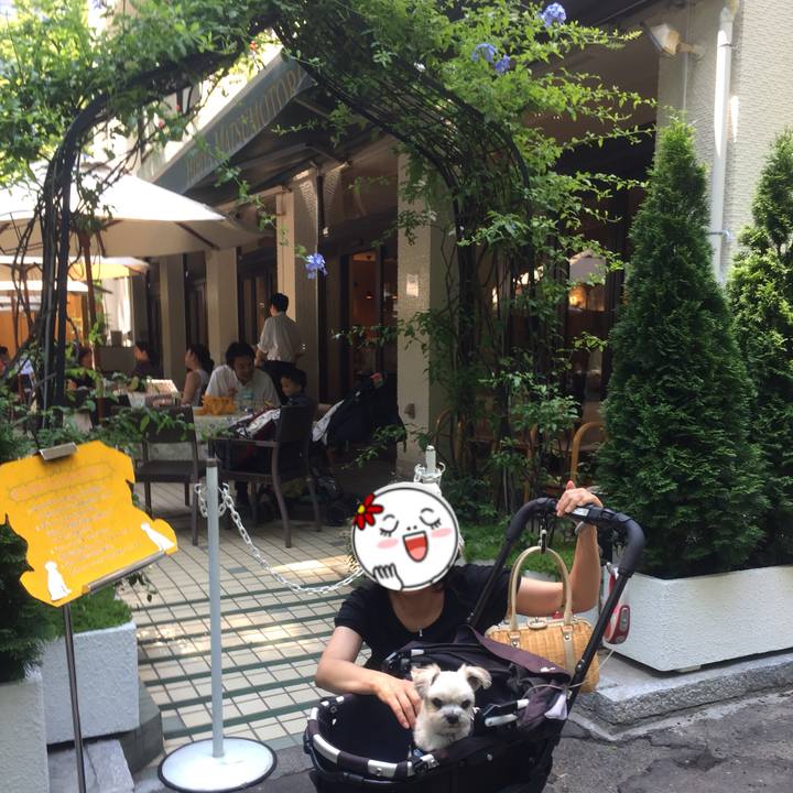 37084c94 6796 4eb1 add6 4af6cd276305 1529932233890