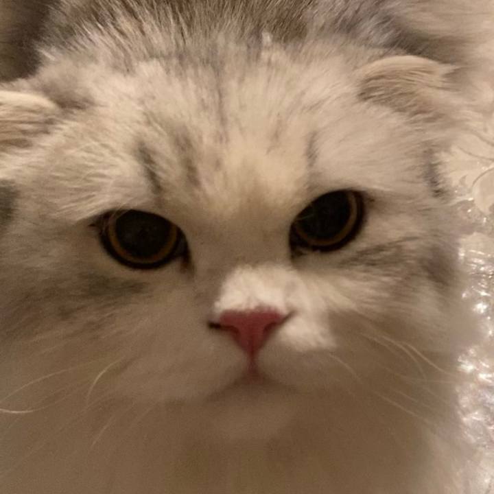 3708937a 80f6 4858 8ad6 f9626a1c30dd 1626917421573