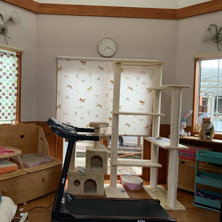 37089643 a5f3 4582 8772 5b21d2be9c2a 1631959873489