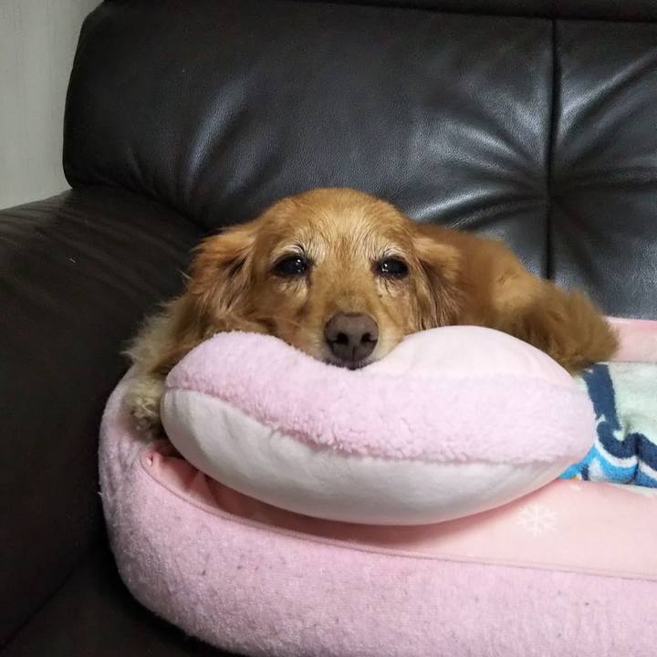 3708978a a2d0 45a4 9911 551b7015b69b 1594042081391