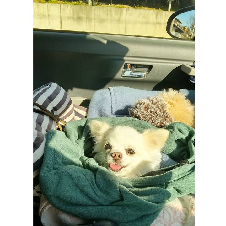 3708af21 456d 4ef4 a877 eb7f22d6a8fe 1641103448153