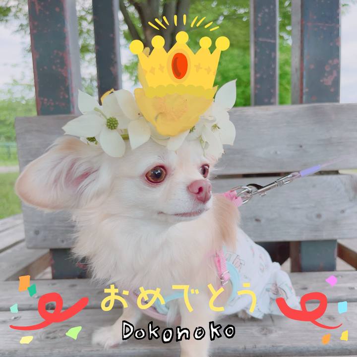 3708ce32 088e 4b70 8cc1 5b14b7ca9680 1685932812037