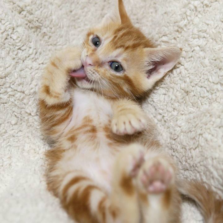 3708e50d 9556 4852 8893 5686eeb8d576 1528259951475