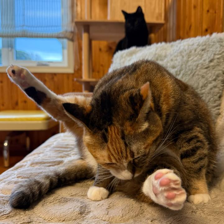 370904c1 8b40 4f70 ac63 323d00b5cb4a 1773530774904