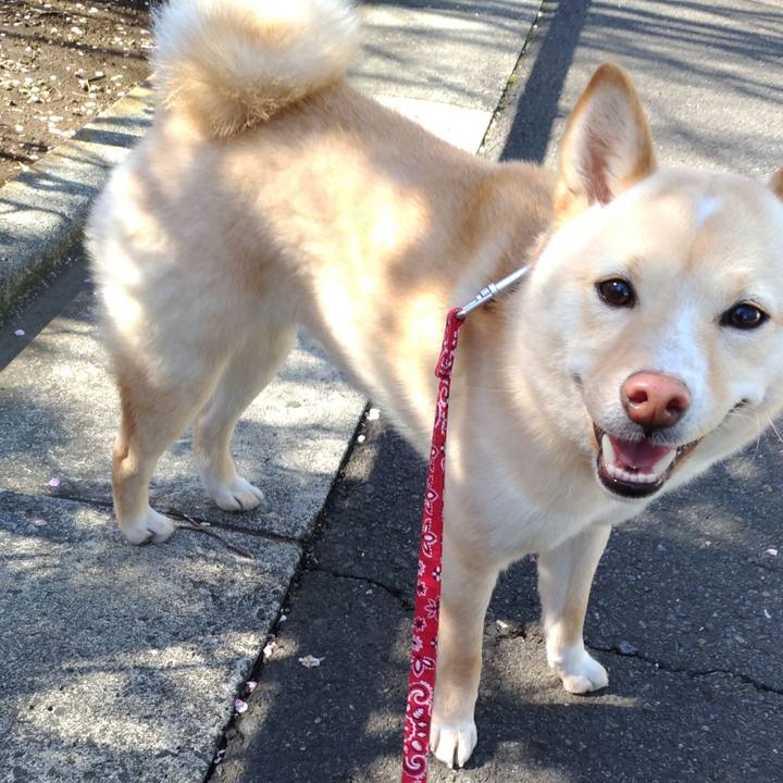 37091fc7 c6f9 4cba b6d7 24742f54eefc 1520838494057