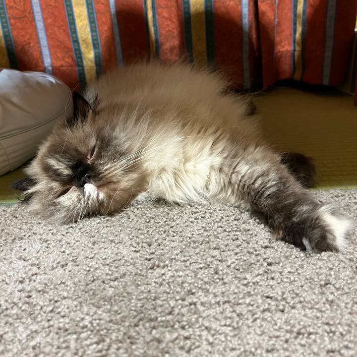 37093989 97fd 4b85 a299 c77fff4f8c4d 1721133715621