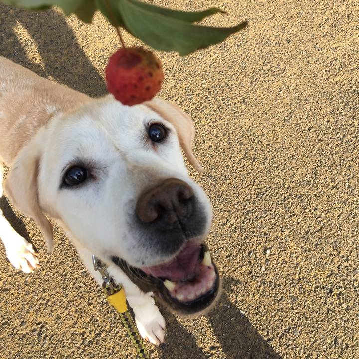 37097c56 abc8 490e a87c ca8ae77ef62f 1568285262113