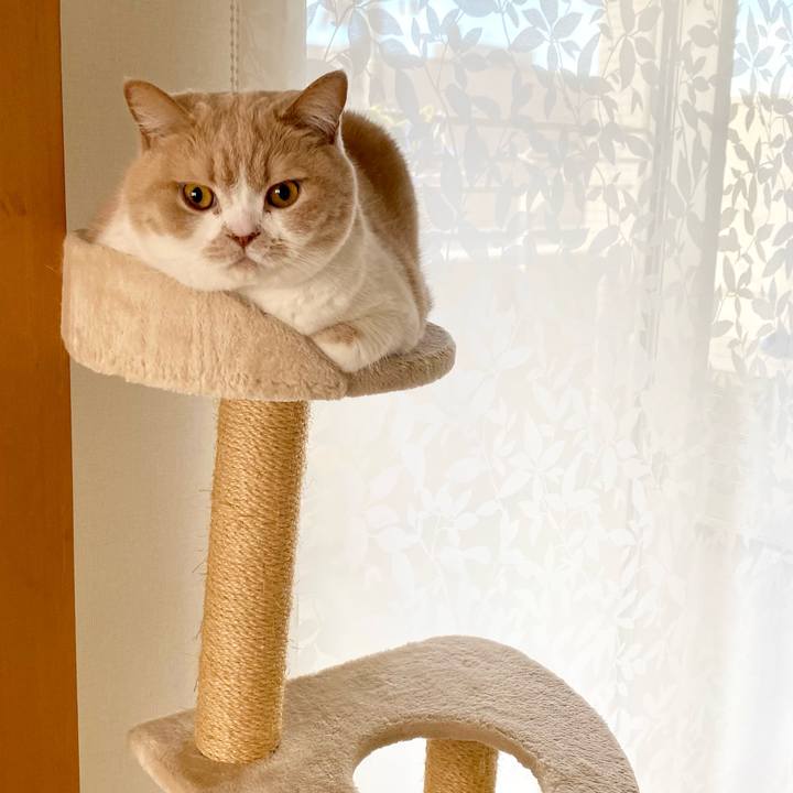 370980f4 ab04 4af1 bb47 8bb7089ca1c6 1674103227401