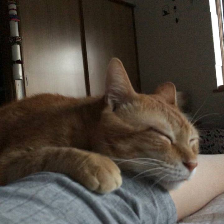 370989ee b376 4ebe b94f d4210da43730 1597175546246