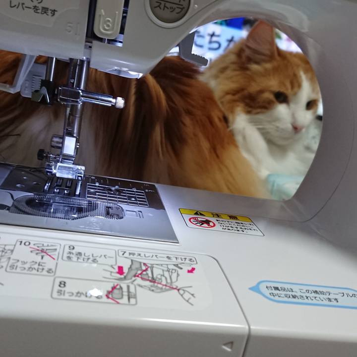 3709b642 e240 4069 a604 9517a2a4ebd0 1557147015335