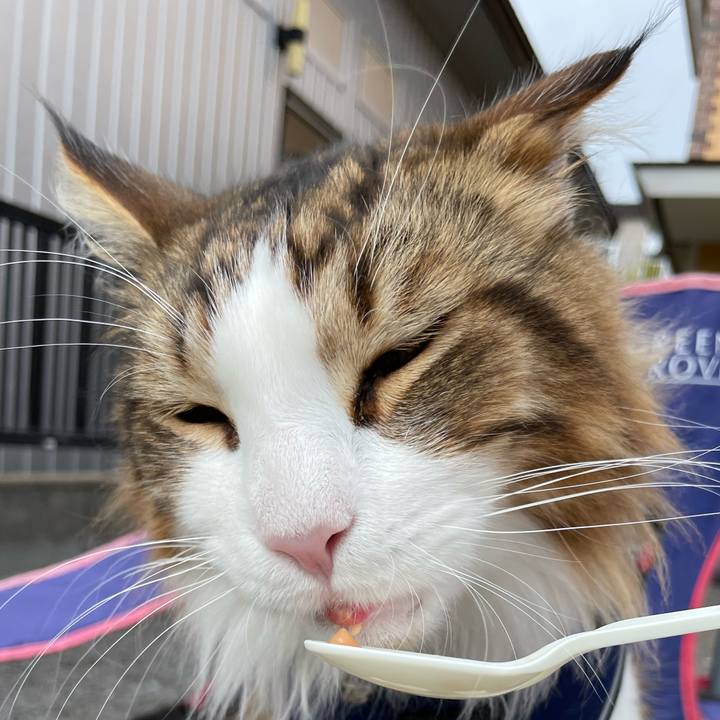 3709d0c8 962b 4cec 82c7 05dbfa65d004 1656225170086