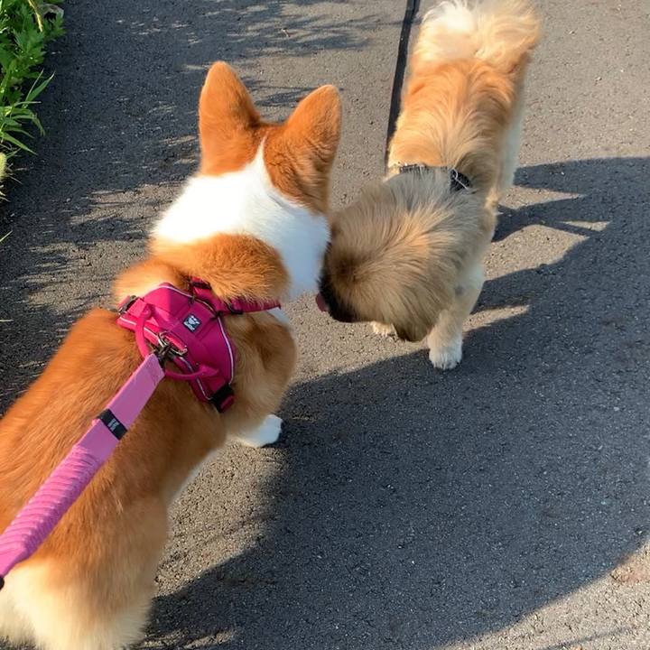 370a9191 9cbe 493e 88a7 021c9bdf4ffe 1626911743919