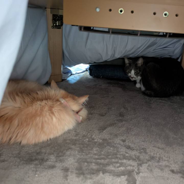 370a95eb 9e9e 48c6 9c74 d353e6ed18e4 1736573592991