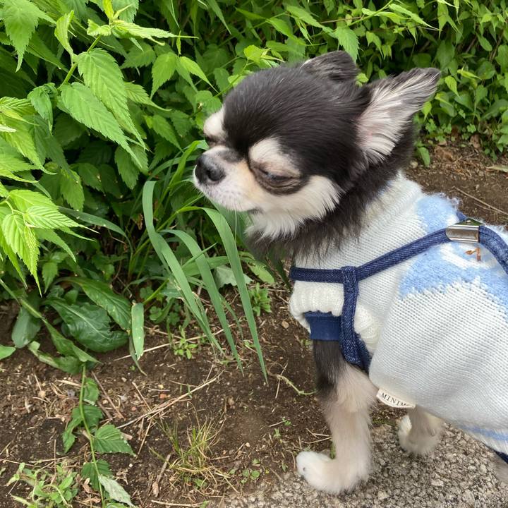 370ad84f 310c 4cfe 9863 96e0e840a14b 1682142308559