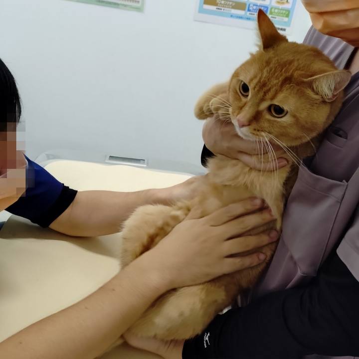 370b09db 312e 42da aace 113d959dfe31 1763196643367