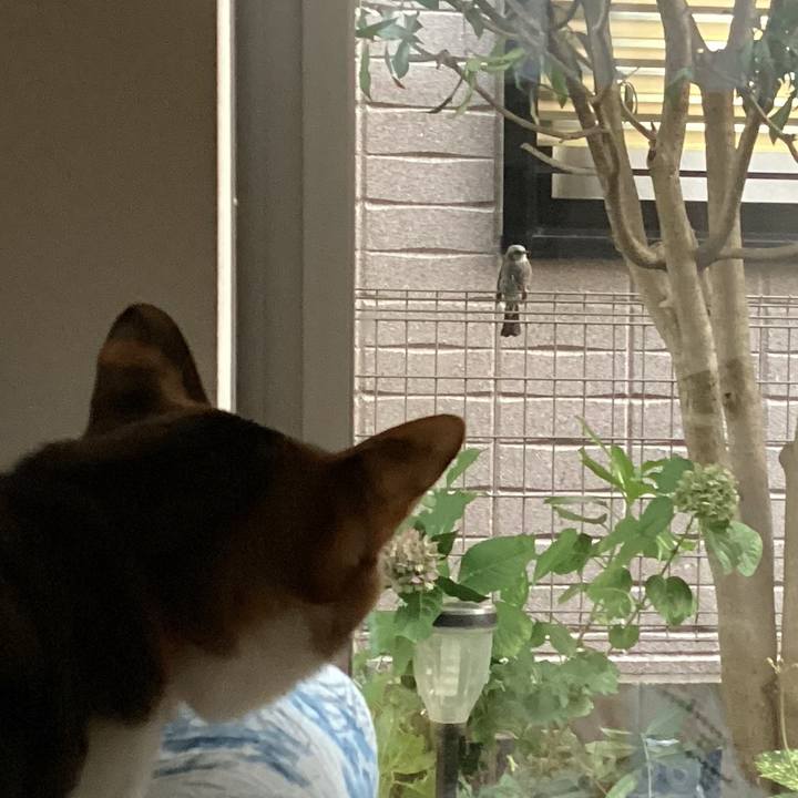 370b0ca8 da0d 47ac 8574 356a942db9f8 1698998457841