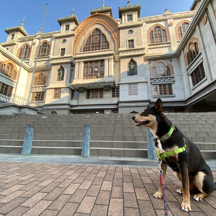 370b0e9c f2b9 4d86 bfd7 be001b3f7d6f 1590709494047