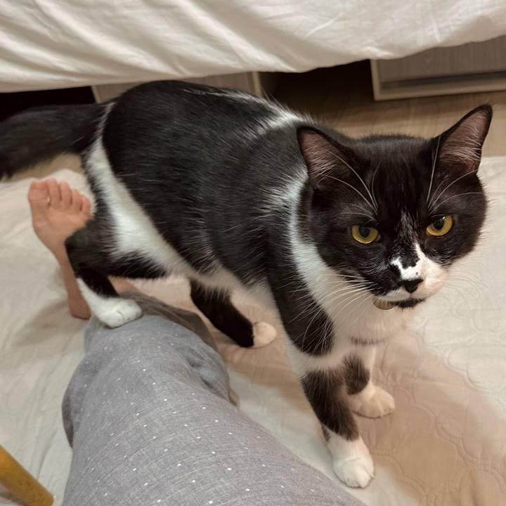 370b114c 2cea 43a7 bdfa 81ab0148a138 1760019963968