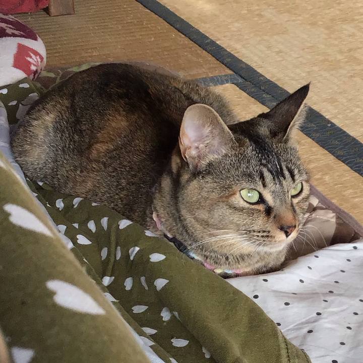 370b2a30 1e50 4179 81ae 672ce405536d 1615936404306