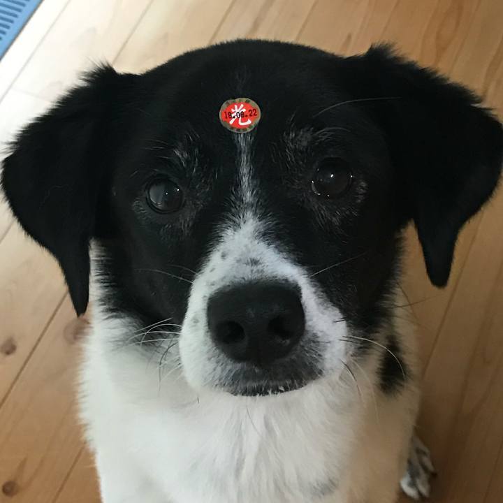 370b2c28 a16f 47d0 9535 4bc1f32260c6 1758579300541