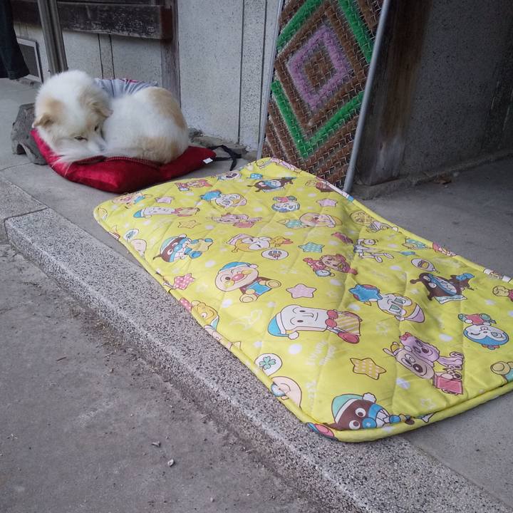 370b5494 2e33 4bfd affb a9aacdb08640 1572854625911