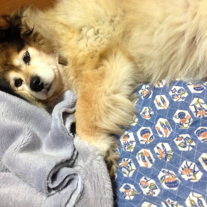 370b67a2 3b8a 4b93 9494 1828d89aa10e 1547995871490