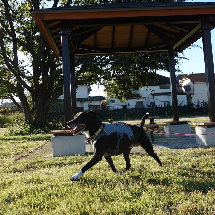 370b7383 0a81 441a b884 3a1d5c100c1c 1731457843533