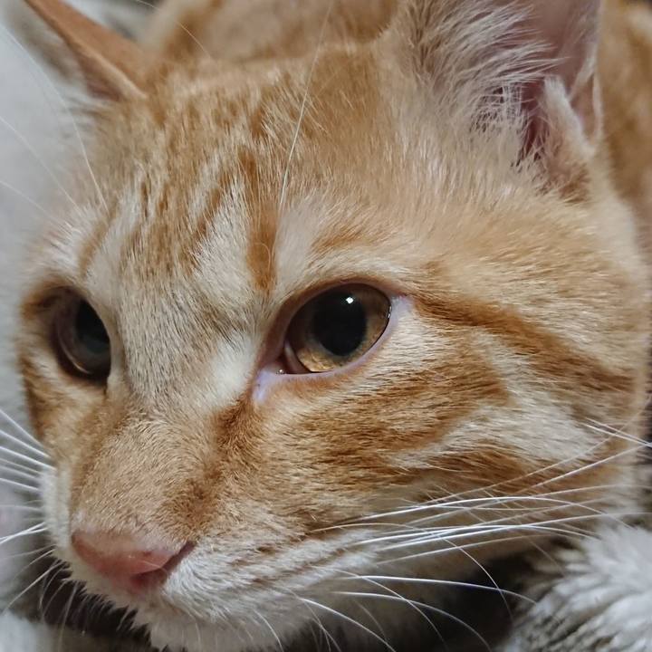 370b7759 7bc4 45b1 832d 6919f2753cc7 1644844100407