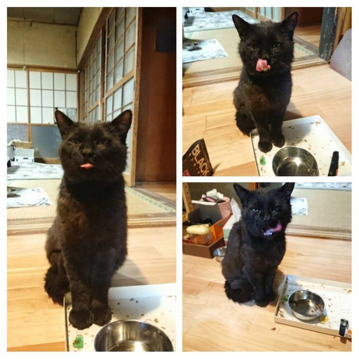 370bd722 ee35 4b4f 9a44 a71ede85d3e4 1623062804372