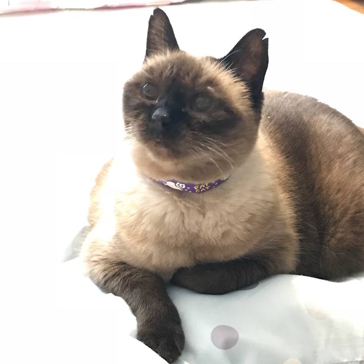 370c05fa bff6 4027 adf9 272ea09abfca 1537143578540