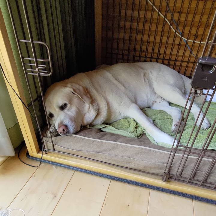 370c46c3 5335 4d35 ad8a 72bdc46a8e94 1716013583880