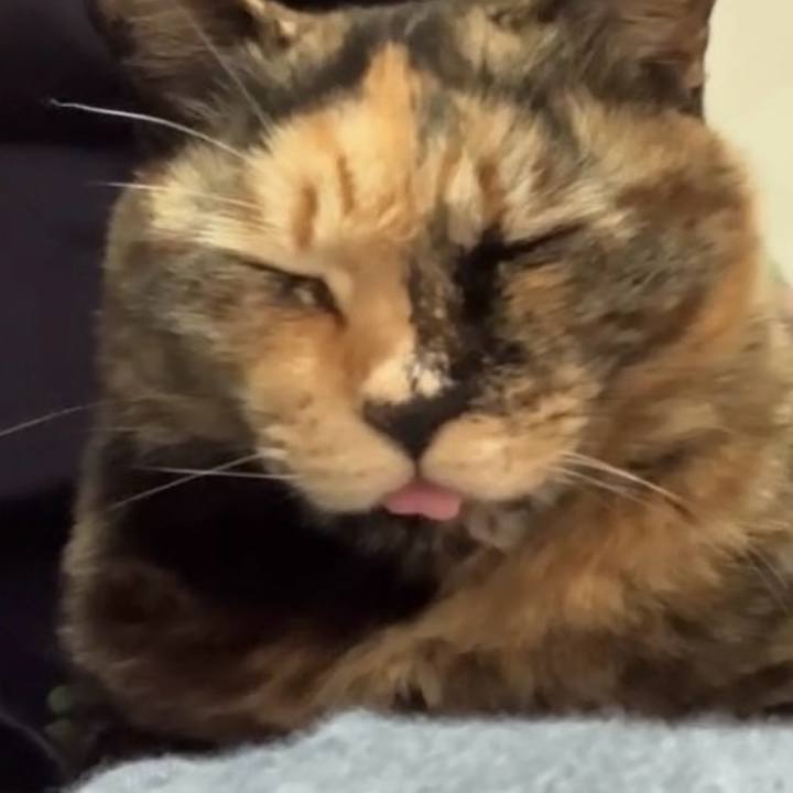 370c5db7 cdf6 4d68 837c 221b5d731142 1743822673375