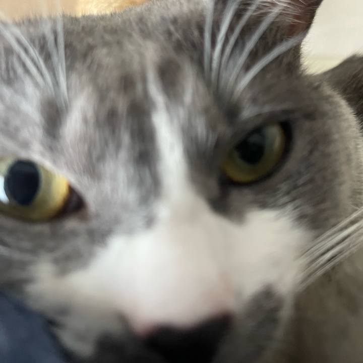 370c8571 7e31 4719 9736 d68b245672af 1728715215233