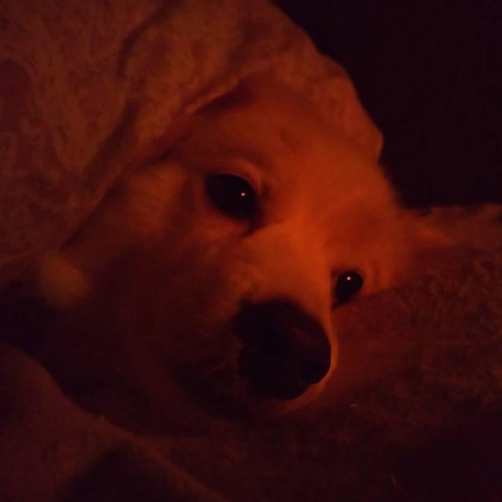 370c927d b39a 4c3d bcdb 3f2ce0ca23fd 1568905098912