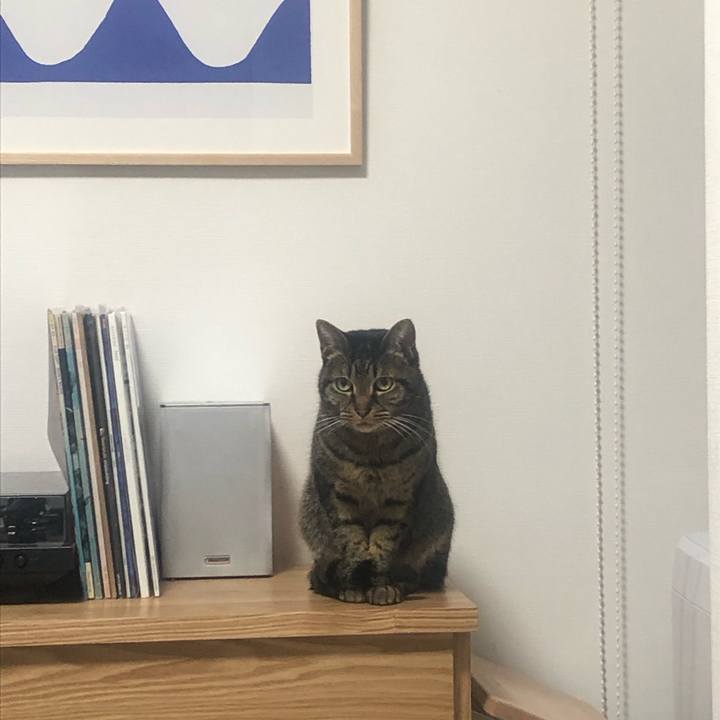 370caa43 cadd 48c6 bbbc ce5debe6901b 1581267477230