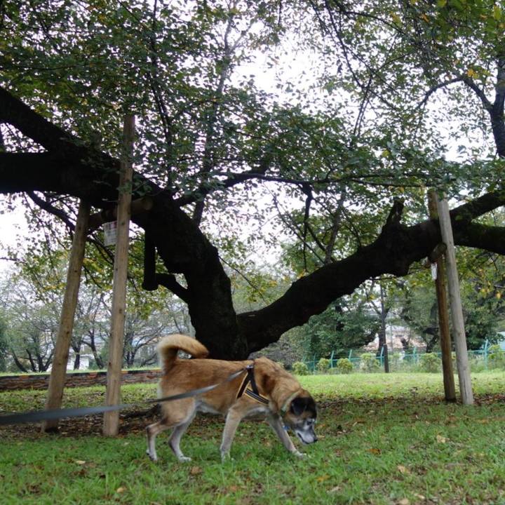 370cbaba cc9e 444e b848 bfe3406f48d4 1538202316413