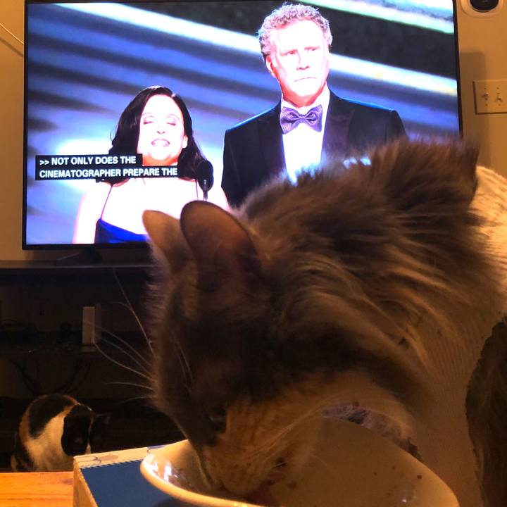 370cc48e 7cc0 4947 ad9f b43122b74fc1 1581352487816
