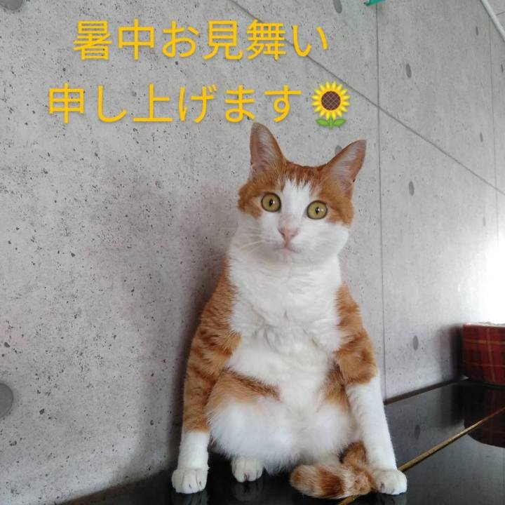 370ced12 ee25 4d77 8031 8e73c0d6ab5d 1597214067366