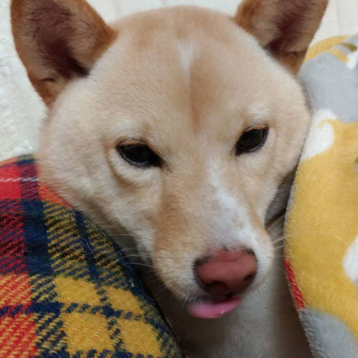 370ced23 0701 49de 986a da53f9a52820 1518181201365