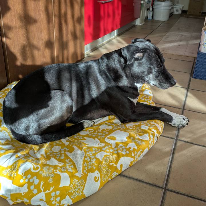 370cf34c 8b70 491b a572 56172efe1c03 1733740453386