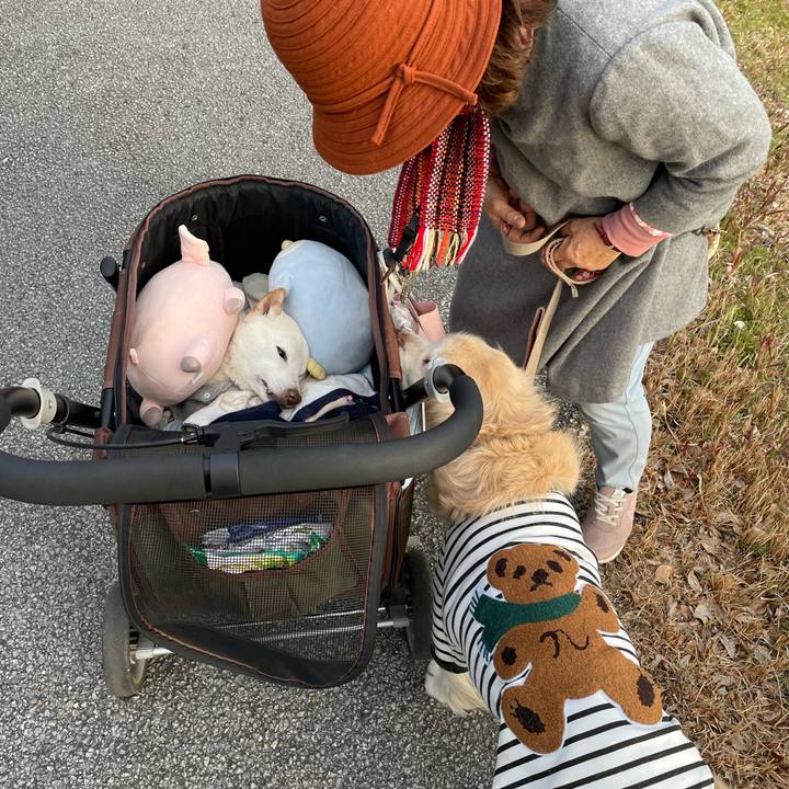 370d4c99 1f5c 4a85 a7c9 1f8a5c10df84 1674123637573