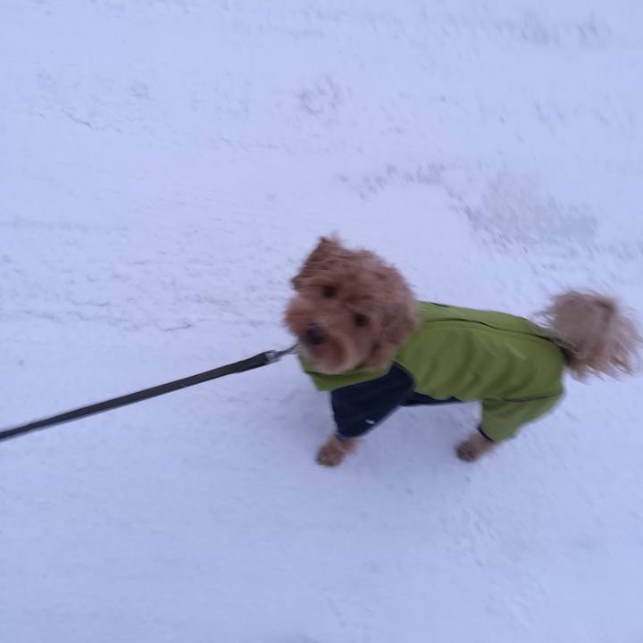 370d58a9 874b 42e2 b2a5 f338cb2e1f45 1544394000625