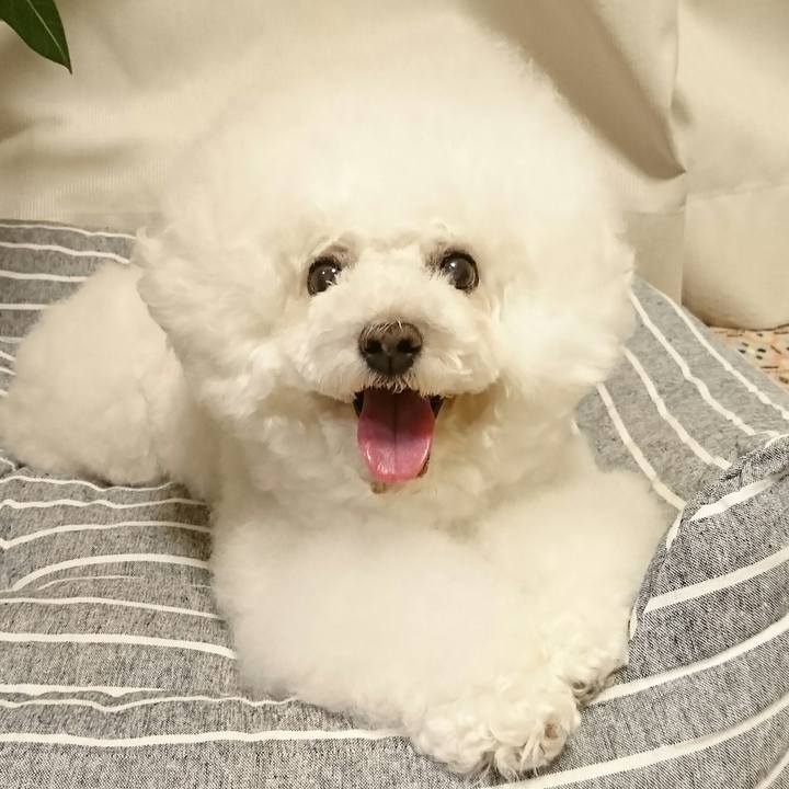 370d61bb 7537 4746 a33f a9ced0b0b703 1535191136813