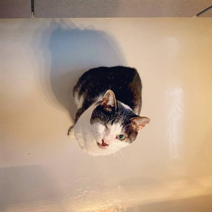 370d7df7 f8d9 48ae 90a4 91f09aa7267f 1611816901205