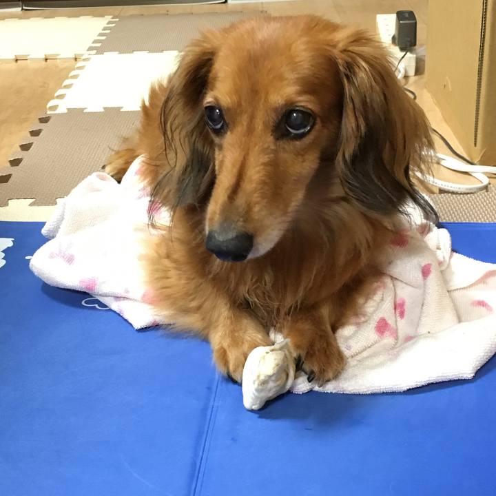 370d91e0 ef76 4cda 8d32 af576e4c2917 1561731796783